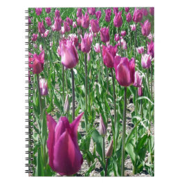 Cuaderno Tulipanes púrpura Regal