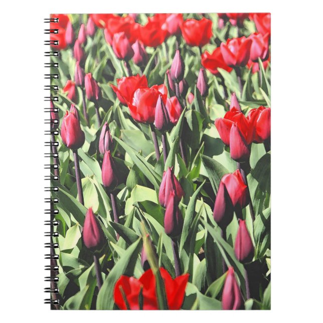 Cuaderno Tulipanes rojos (Frente)
