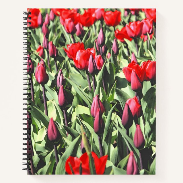 Cuaderno Tulipanes rojos (Anverso)