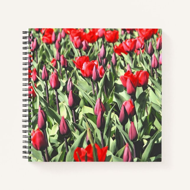 Cuaderno Tulipanes rojos (Anverso)