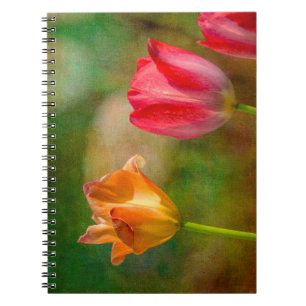Cuaderno Tulipanes rojos y amarillos sobre fondo texturizad