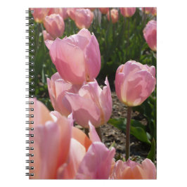 Cuaderno Tulipanes rosados