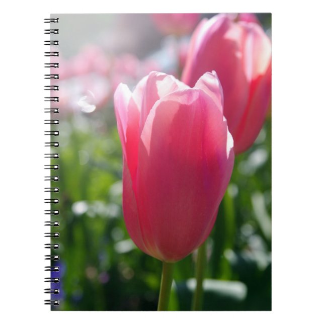 Cuaderno Tulipanes rosados (Frente)
