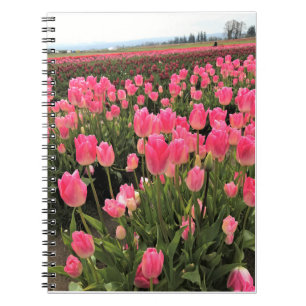 Cuaderno Tulipanes rosas y rojos en un campo, Oregon