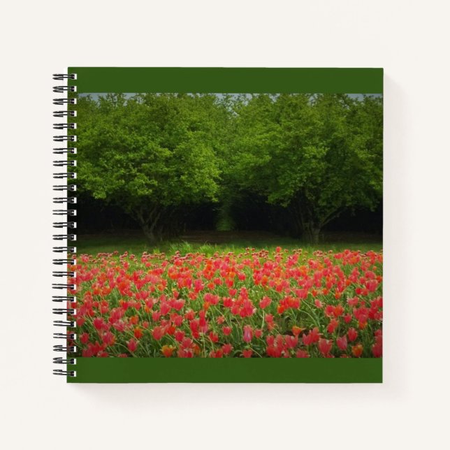 Cuaderno Tulipanes y árboles (Anverso)