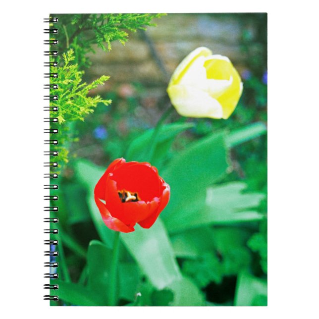 Cuaderno Tulipanos (Frente)