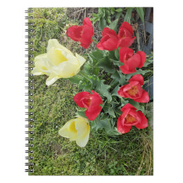 Cuaderno Tulipanos