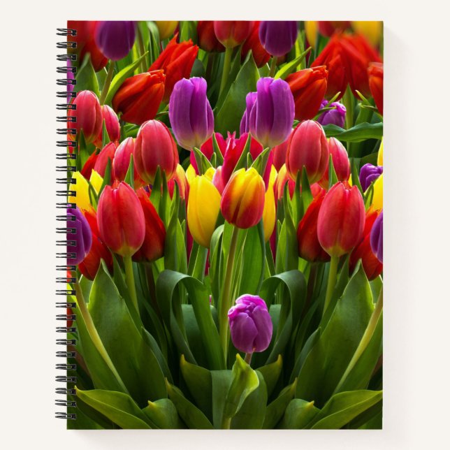 Cuaderno Tulips brillante (Anverso)