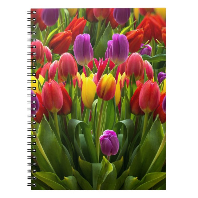 Cuaderno Tulips brillante (Frente)