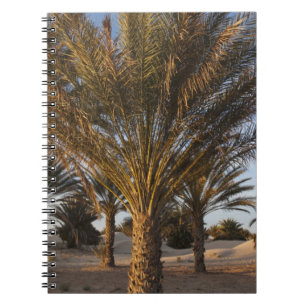 Cuaderno Túnez, desierto del Sahara, Douz, Gran Duna, palme
