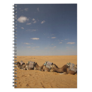 Cuaderno Túnez, zona de Ksour, Ksar Ghilane, Gran Erg 2