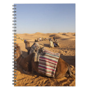 Cuaderno Túnez, zona de Ksour, Ksar Ghilane, Gran Erg 3