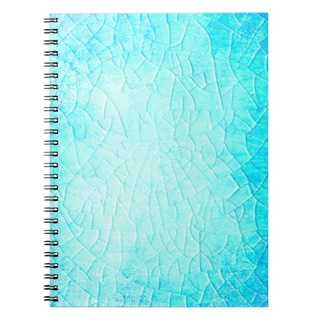 Cuaderno Turquesa De Pond Congelado (Frente)