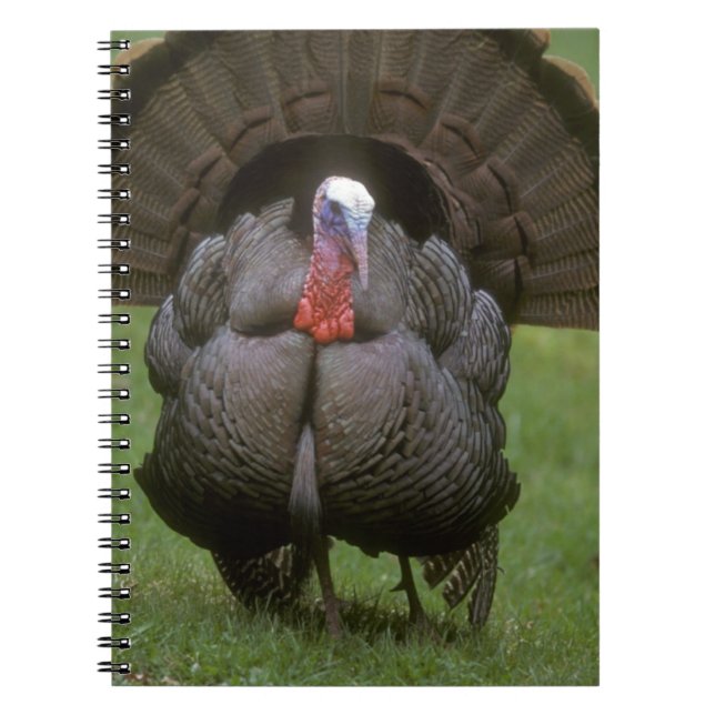 Cuaderno Turquía (Frente)