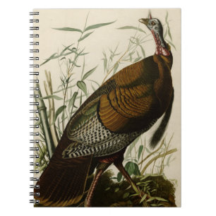 Cuaderno Turquía salvaje