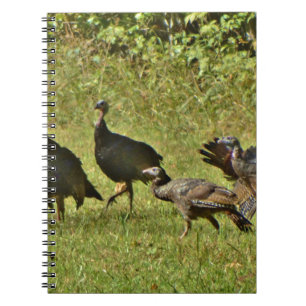 Cuaderno Turquía salvaje, colores de camuflaje