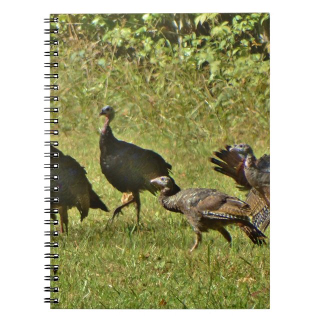 Cuaderno Turquía salvaje, colores de camuflaje (Frente)