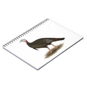 Cuaderno Turquía: Tom salvaje del este