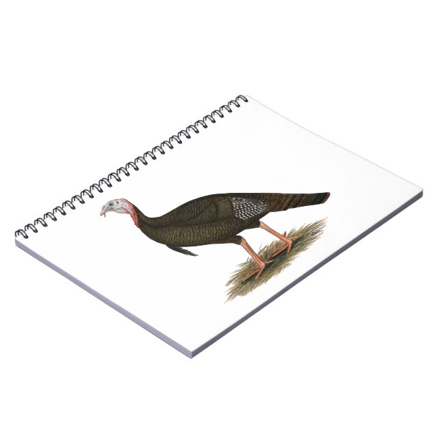 Cuaderno Turquía:  Tom salvaje del este (Lado Izquierdo)