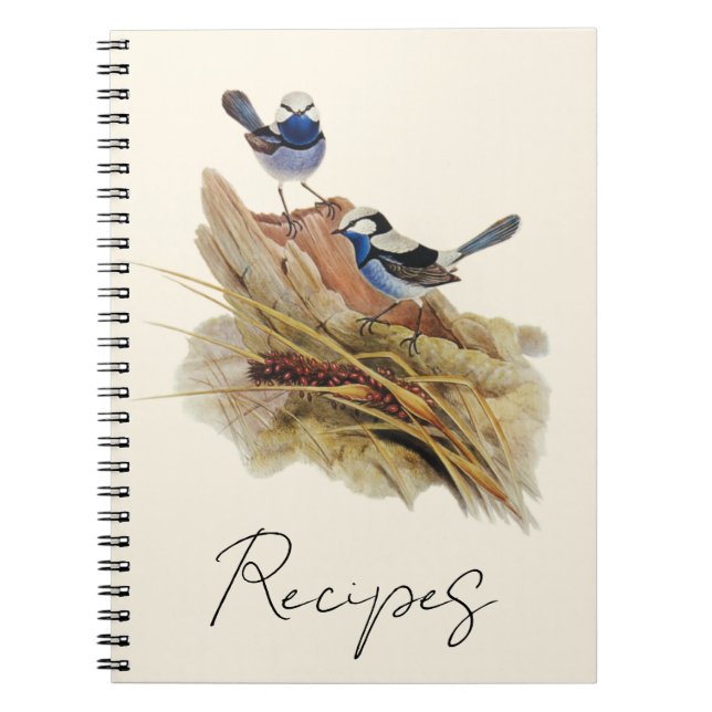 Cuaderno Turquoisine Magnífica Warbler, (Frente)