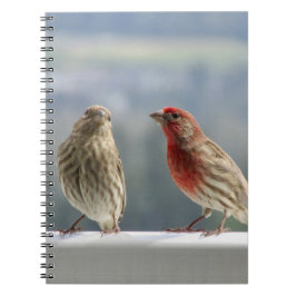 Cuaderno Two Finches Flirting.