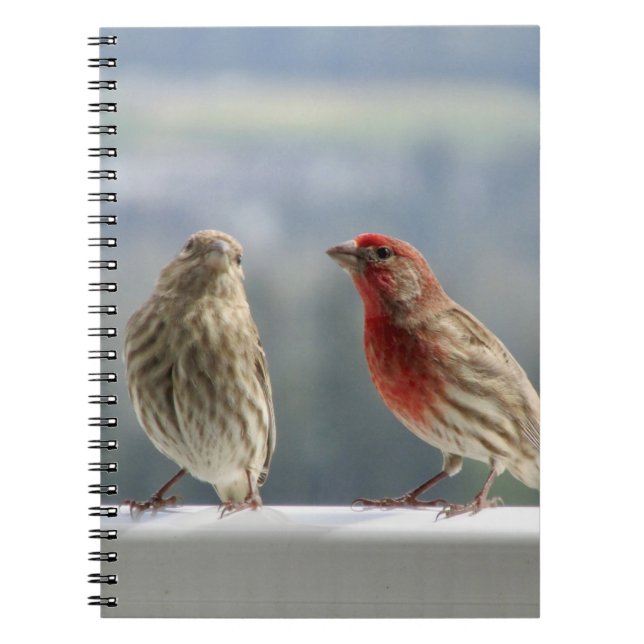 Cuaderno Two Finches Flirting.  (Frente)