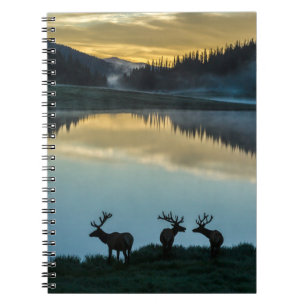Cuaderno Uapitíes machos silueteados en el lago Poudre al a