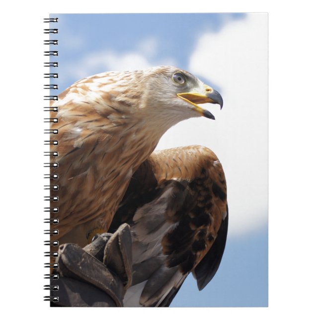 Cuaderno Un águila de oro majestuosa (Frente)