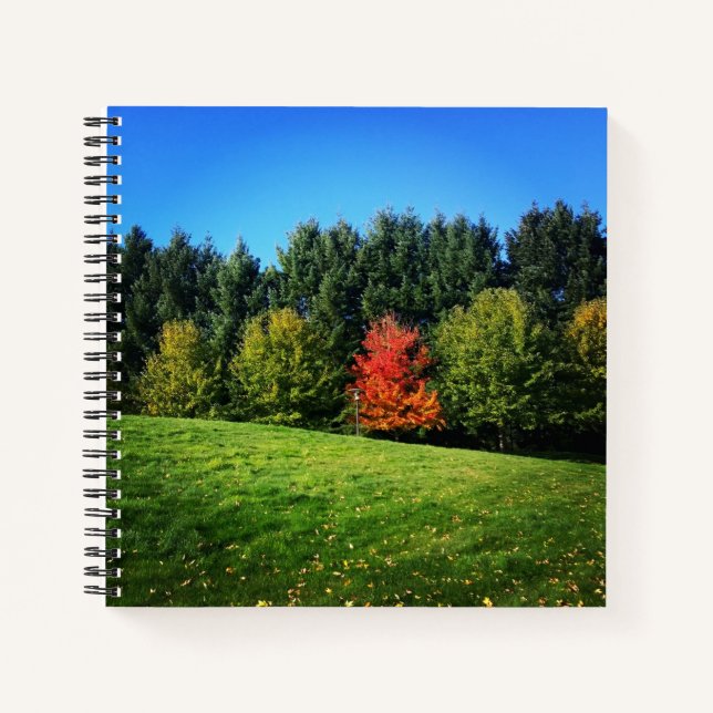 Cuaderno Un árbol rojo (Anverso)