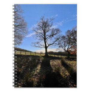 Cuaderno Un árbol solitario.