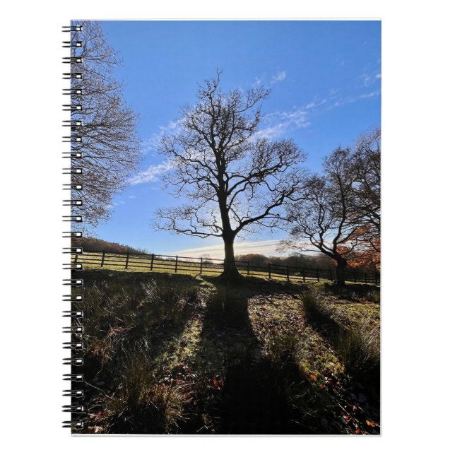 Cuaderno Un árbol solitario. (Frente)