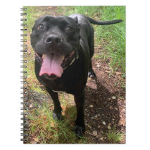 Un bloc de notas de Cañón Corso X