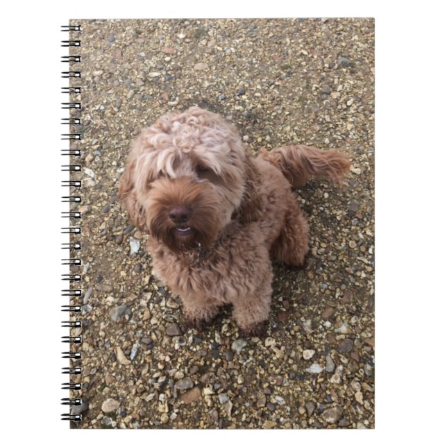 Cuaderno Un bloc de notas de Cavapoo súper dulce (Frente)