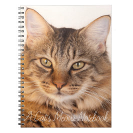 Cuaderno Un bloc de notas de gato