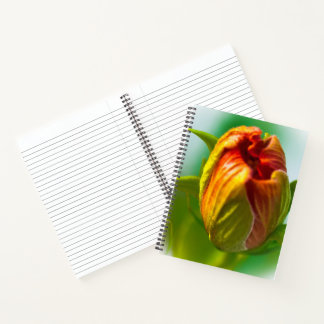 Cuaderno Un Bud