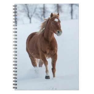 Cuaderno Un caballo corriendo en la nieve