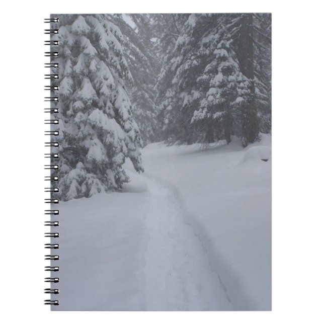 Cuaderno Un camino de nieve (Frente)