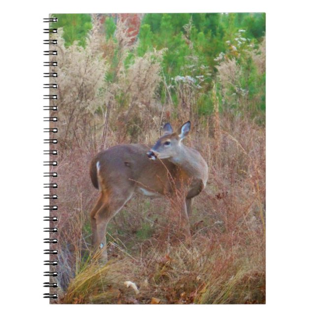 Cuaderno Un ciervo en la hierba alta (Frente)