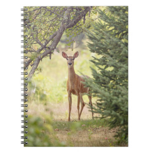 Cuaderno Un ciervo solitario