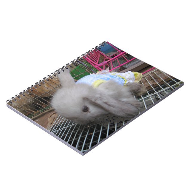 Cuaderno Un conejo vestido (Lado Izquierdo)