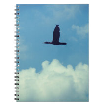 Un cormorán en vuelo