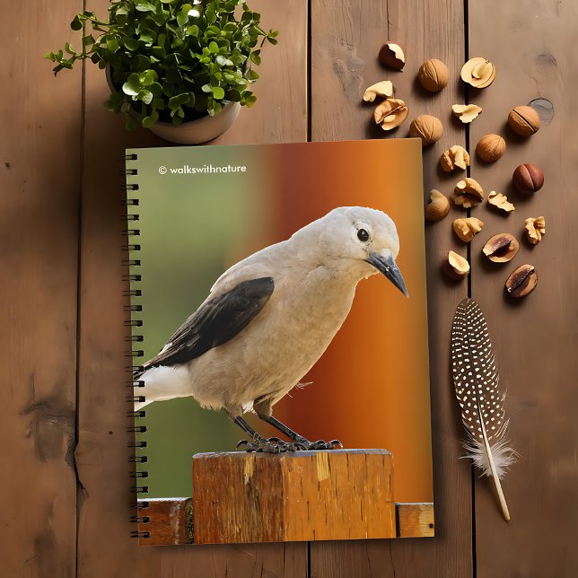 Cuaderno Un curioso cachifre de Clark (Curious Clark's Nutcracker Journal Cover Photo)