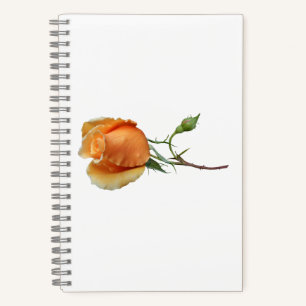 Cuaderno Un esqueje de rosa único      