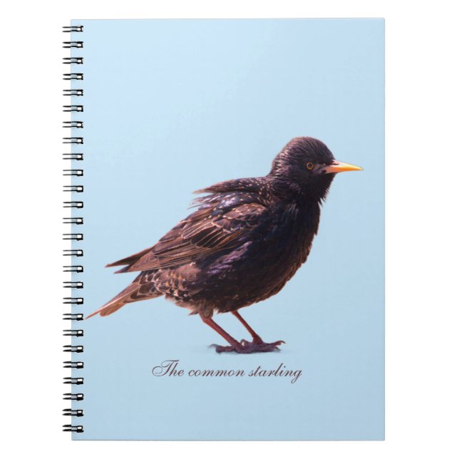 Cuaderno Un estornino  (Frente)