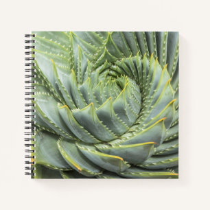 Cuaderno Un éxito verde y blanco