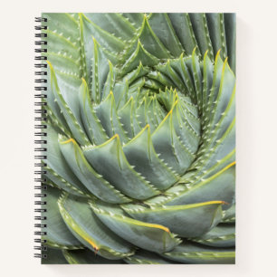 Cuaderno Un éxito verde y blanco