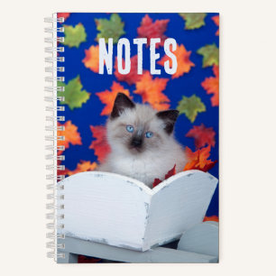 Cuaderno Un gato siamés lindo y de larga data