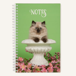 Cuaderno Un gato siamés lindo y de larga data