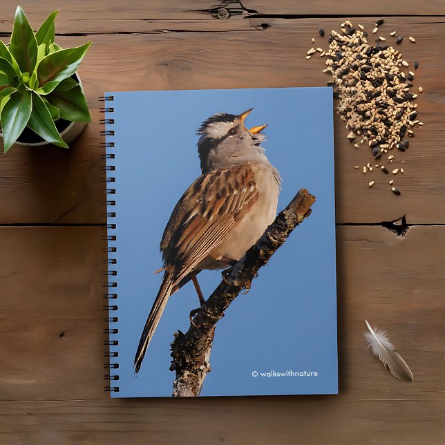 Cuaderno Un gorrión blanco canta al sol (White-Crowned Sparrow Sings to the Sun Journal Cover Photo)
