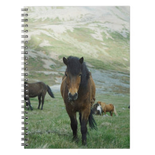 CUADERNO UN GRUPO DE CABALLOS EN UNA PASTURA DE MONTAÑA